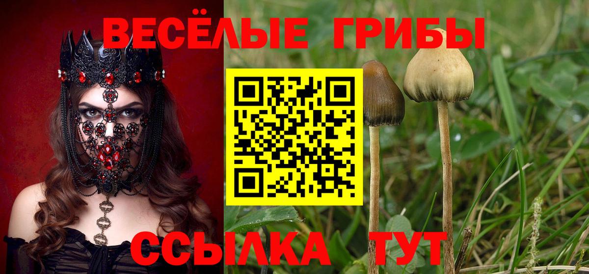 Псилоцибиновые грибы ЛСД Лениногорск