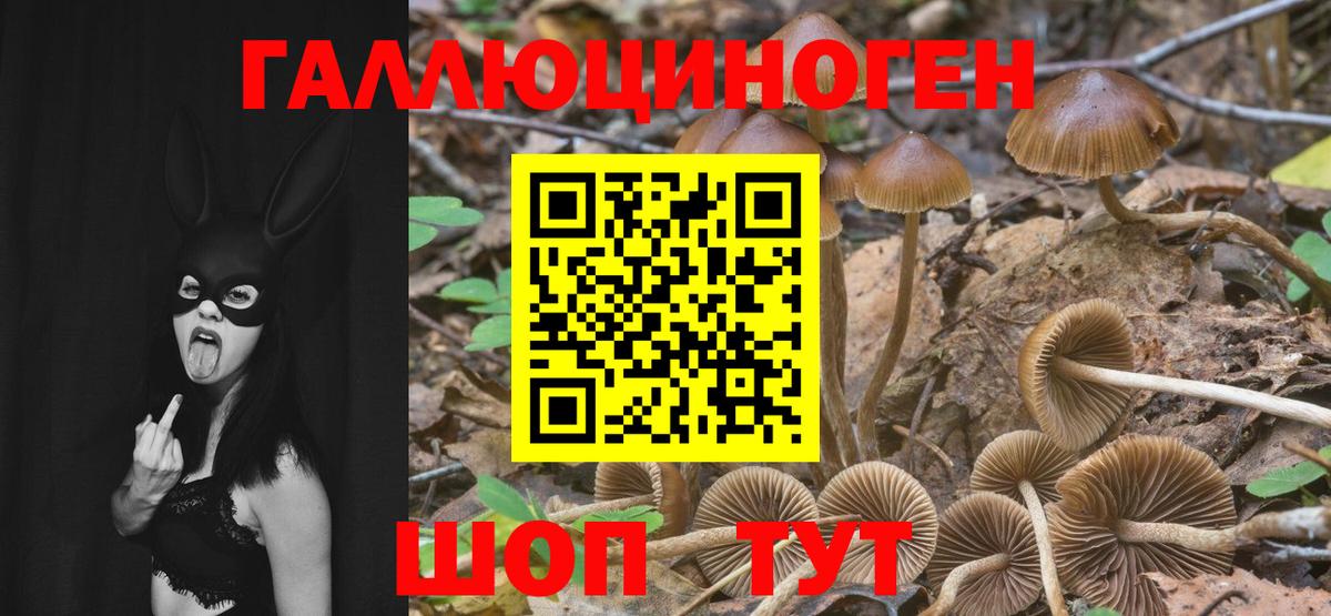 Лениногорск  Галлюциногенные грибы мухоморы  Вход с VPN 